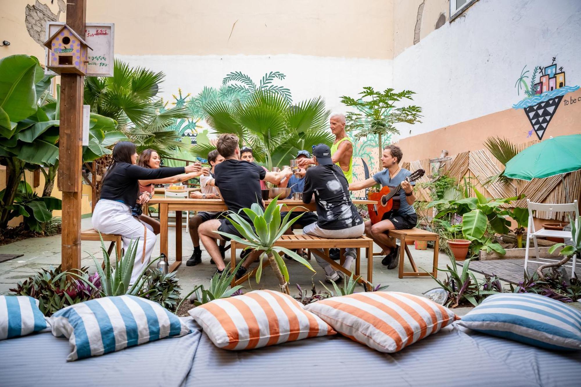 Jungle House 旅馆
